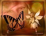 Blend 20