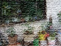 copybysyt