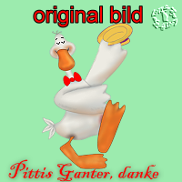 danke pitti