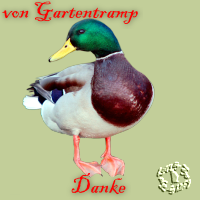 danke-joachim