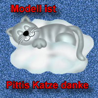 danke pitti
