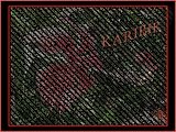 024text2