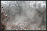025nebel1