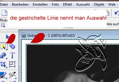 +++