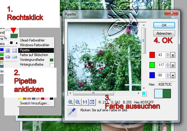 screen