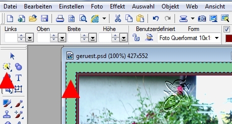 screen