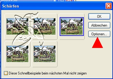 +++