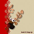 28_Borterudi