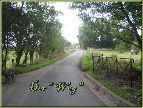 der weg