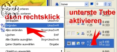 screen