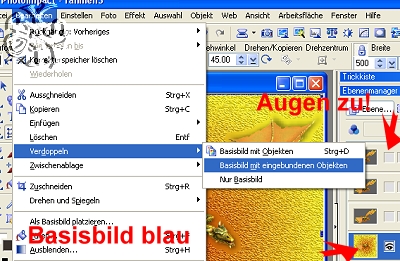 screen