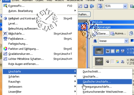 screen