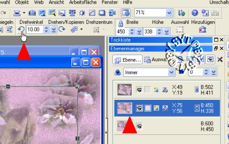 screen
