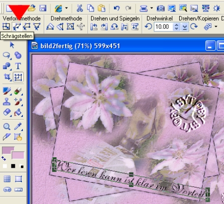screen