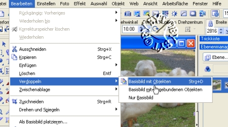 screen