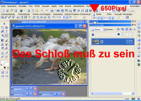 screen