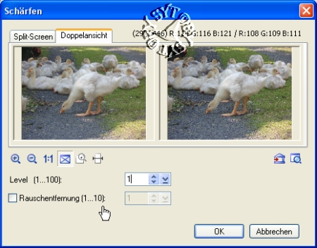 screen
