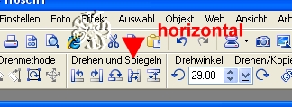 screen