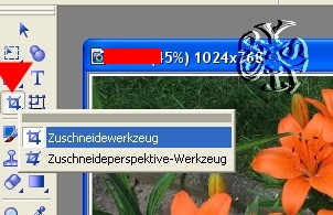 screen