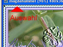 screen