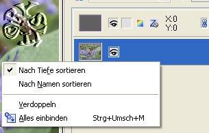 screen