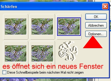 +++