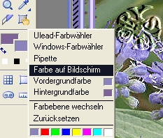 screen