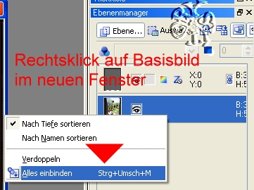 +++