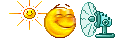 wolkie