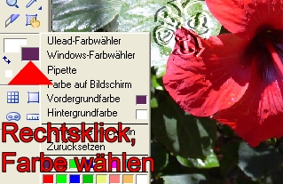 screen
