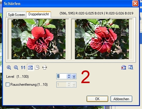 ++++
