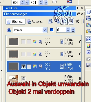 screen