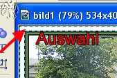 screen
