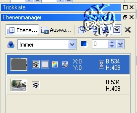 screen