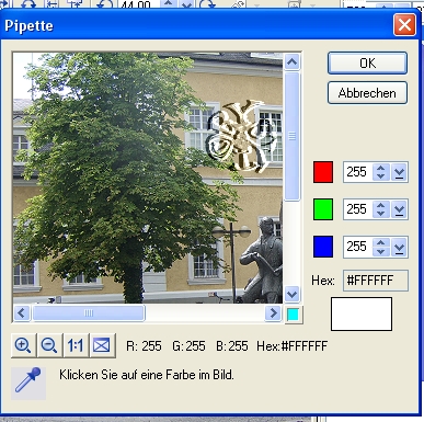 screen