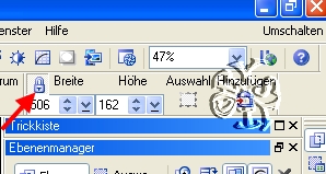 screen