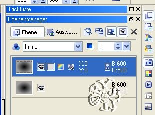 screen
