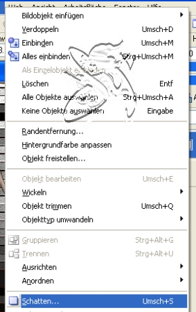 screen