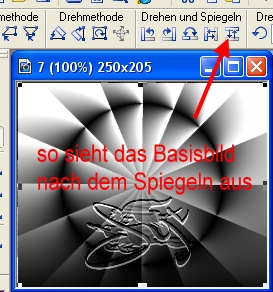 screen