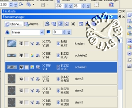screen