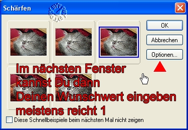 screen