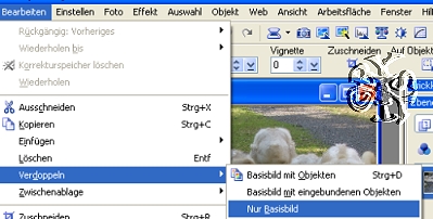 screen