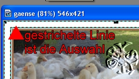 ++++