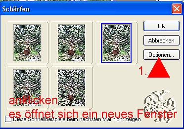 +++
