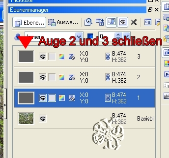 screen