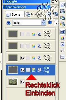 screen