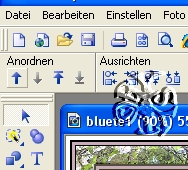 screen