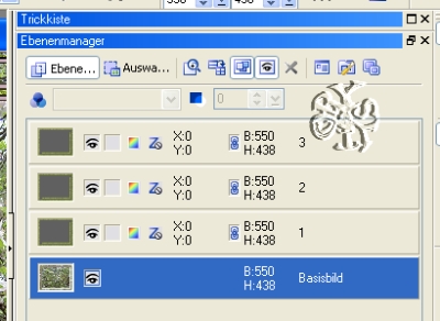 screen