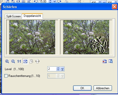screen