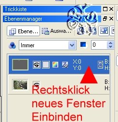 ++++